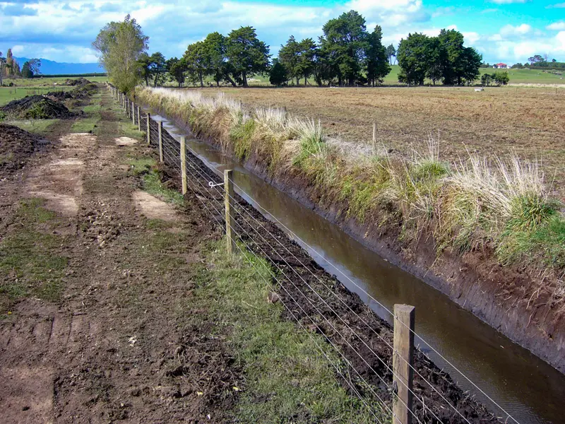 Drain Cleaning